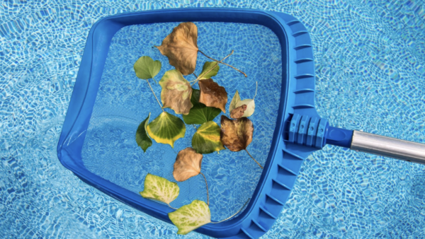 pool net getting leaves out of the water